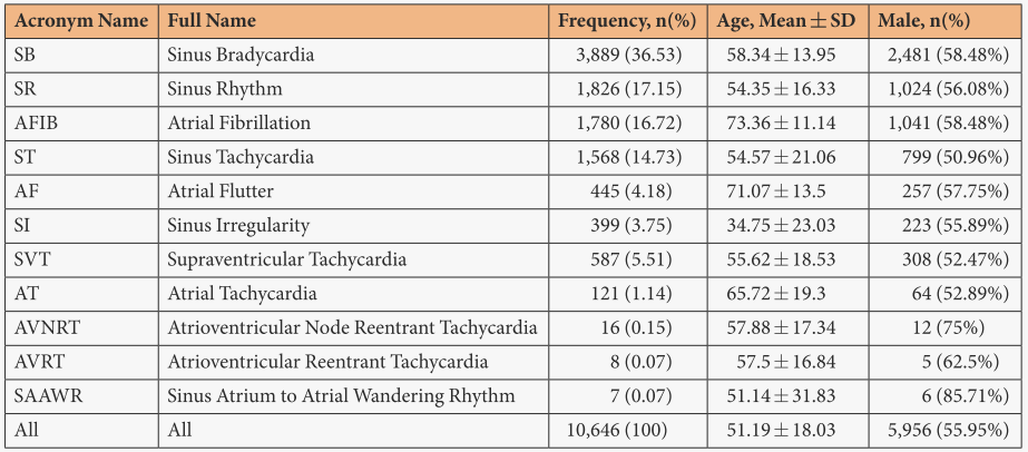 image-20240513120253717