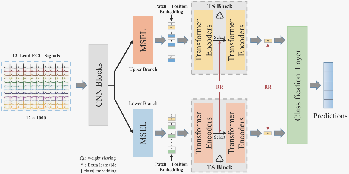 image-20240327151553655