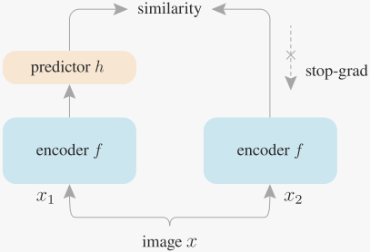 image-20240509131933070