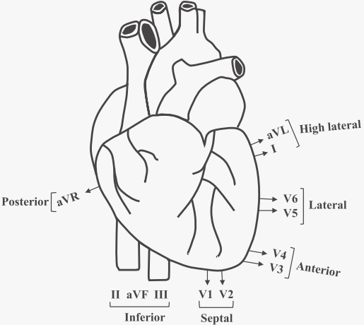 image-20240327133550908