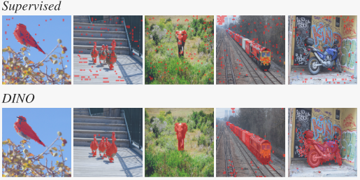 image-20240508220018510