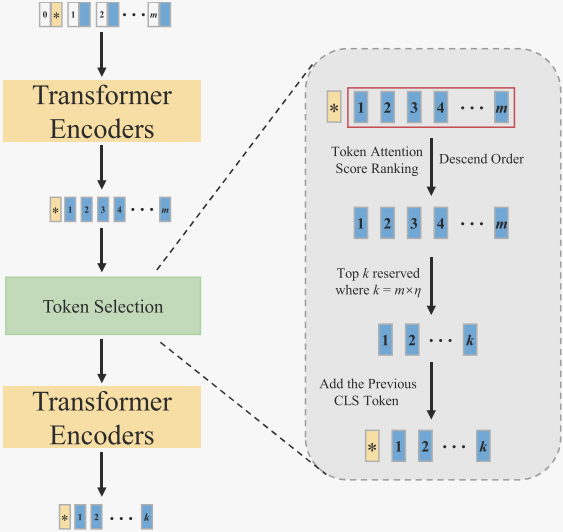 image-20240327152029903