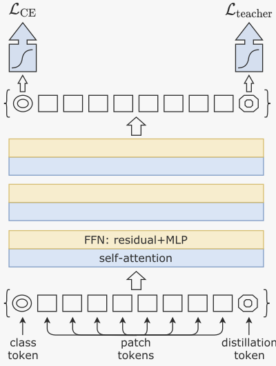 image-20240312173214037