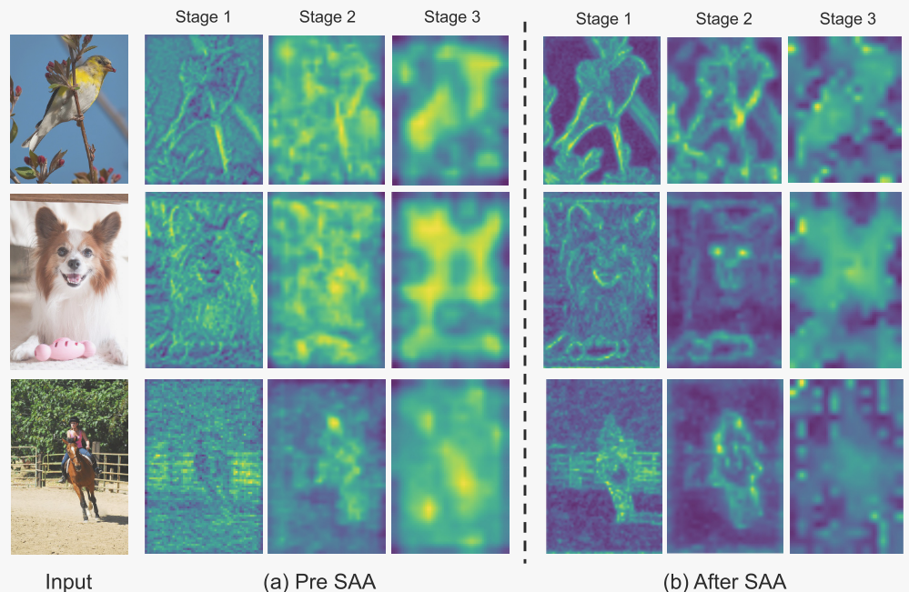 image-20240304162626670